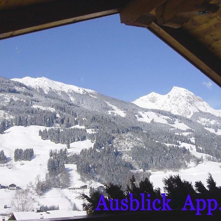 Gaestehaus Alpina 多弗加斯坦 外观 照片