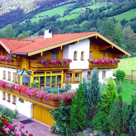 Gaestehaus Alpina 多弗加斯坦 外观 照片
