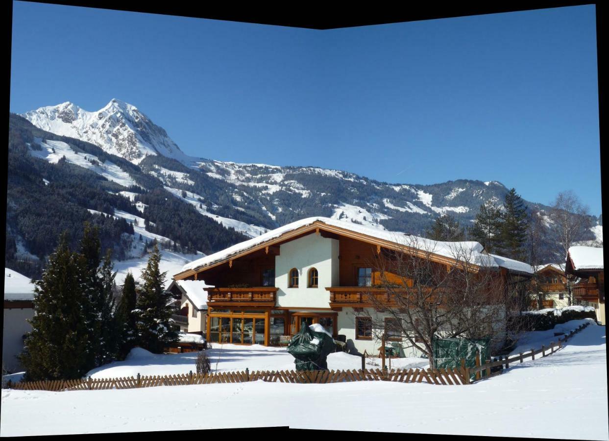 Gaestehaus Alpina 多弗加斯坦 外观 照片