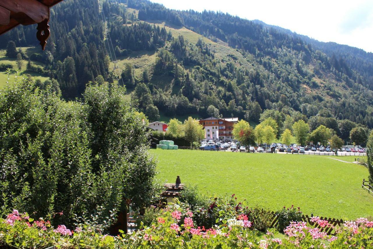 Gaestehaus Alpina 多弗加斯坦 外观 照片